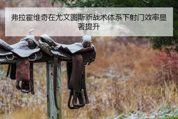 弗拉霍维奇在尤文图斯新战术体系下射门效率显著提升